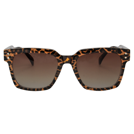 SOFIA Clip - Classic Tortoise Sunglasses