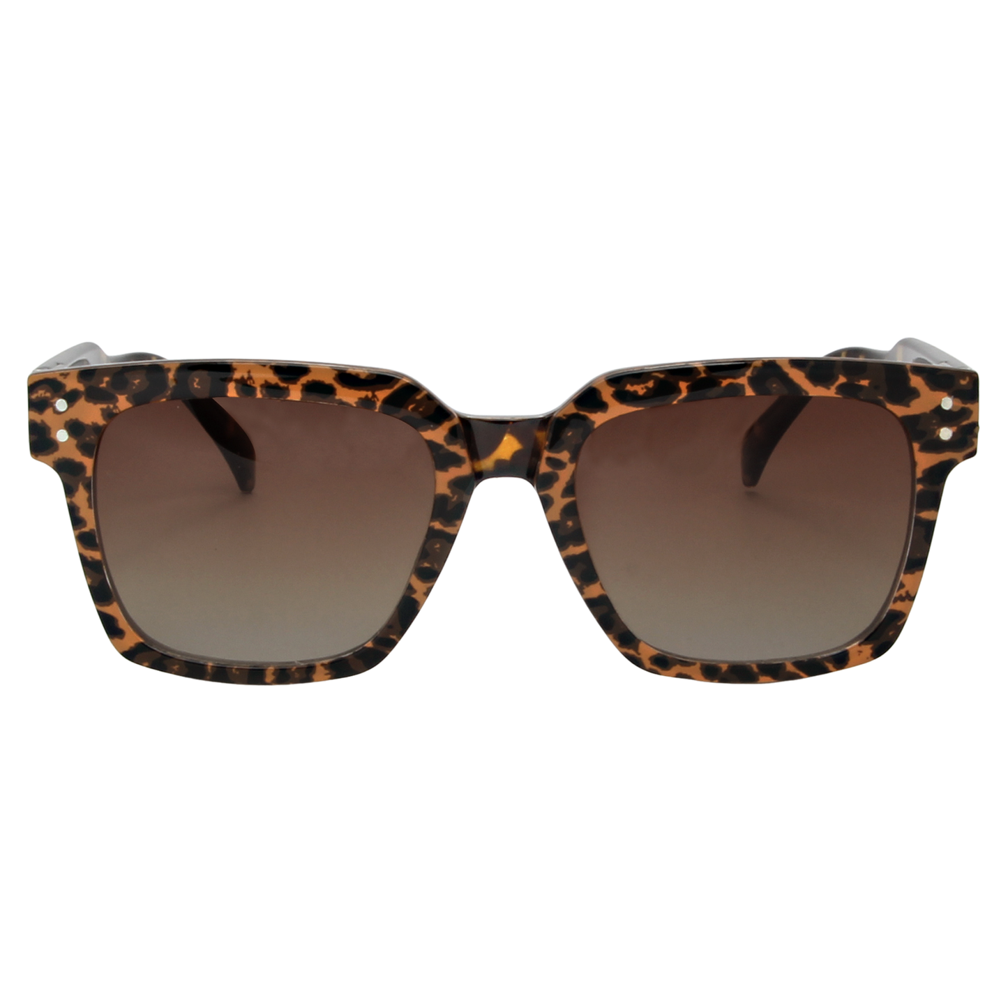 SOFIA Clip - Classic Tortoise Sunglasses
