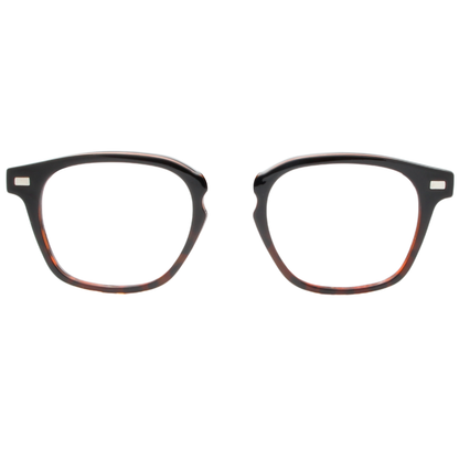 BlackTortoise