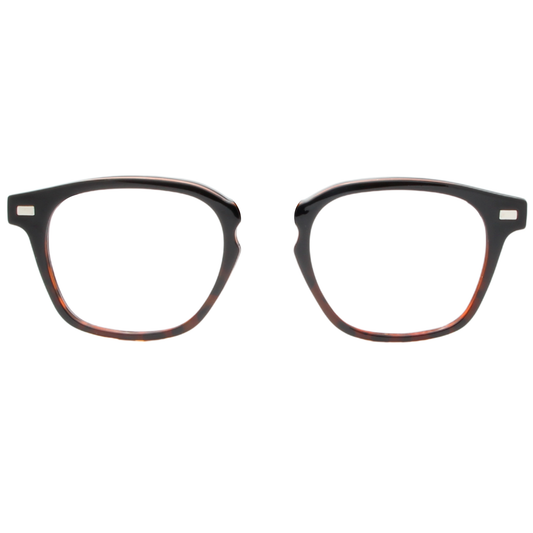 BlackTortoise