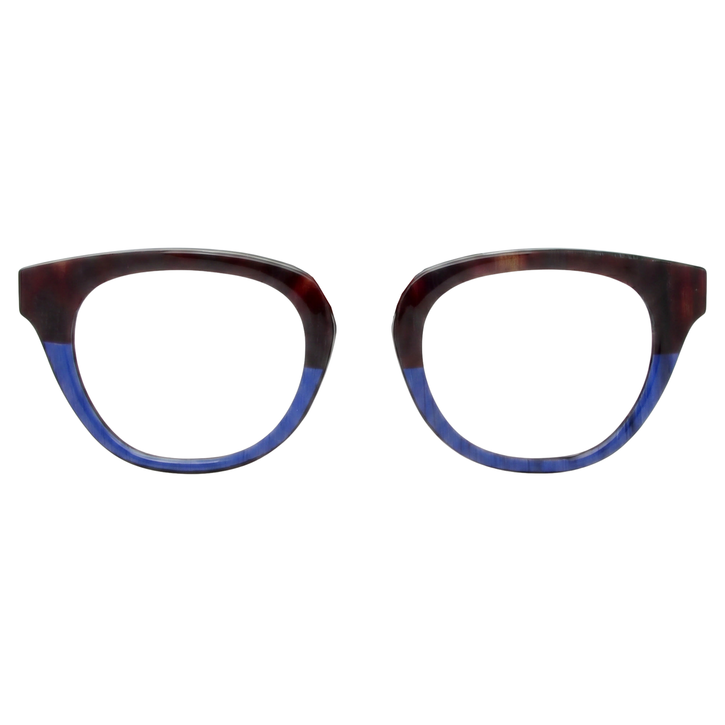 BlueTortoise_BL0057