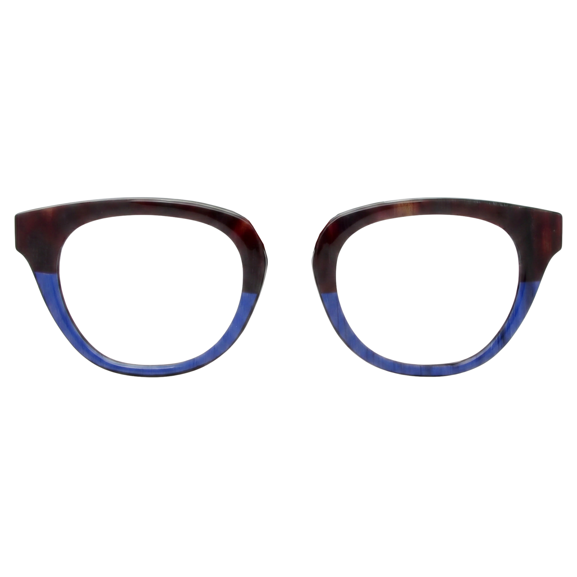 BlueTortoise_BL0057