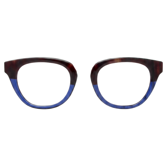 BlueTortoise_BL0057