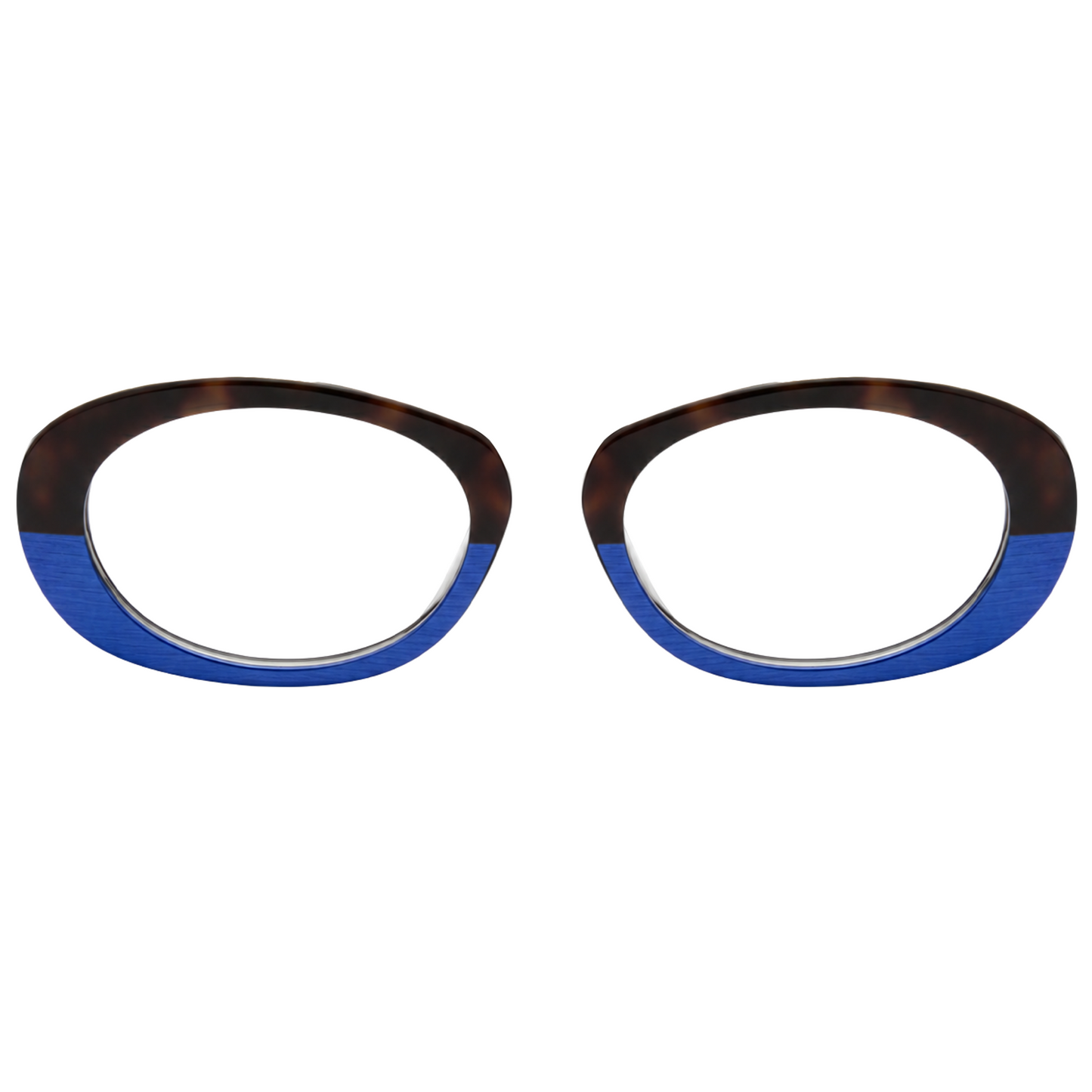 CAMILA Clip - Blue Tortoise (BL0057)