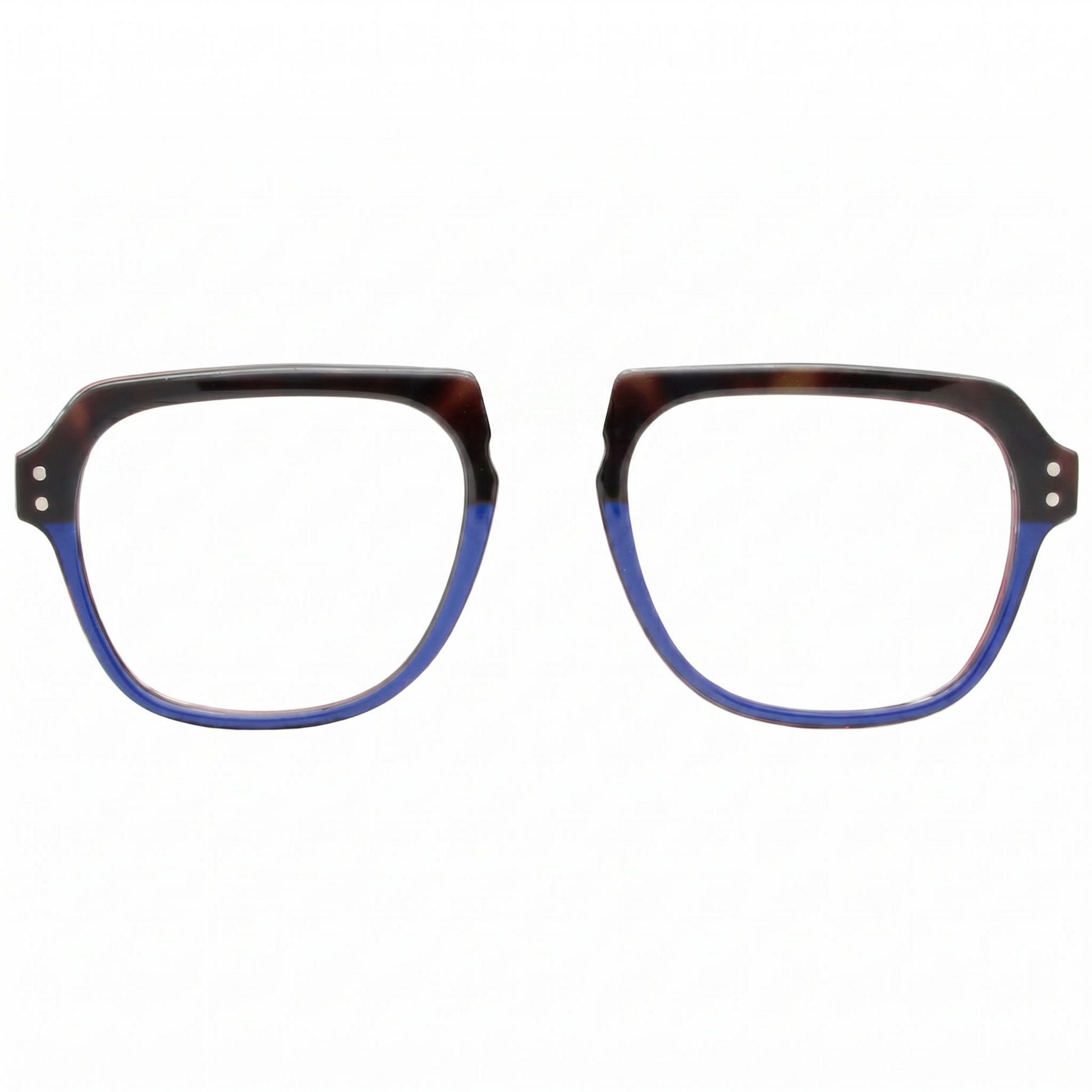 BlueTortoise_BL0057