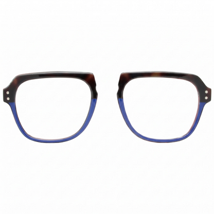 BlueTortoise_BL0057