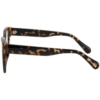 Tortoiseshell glasses on a white background