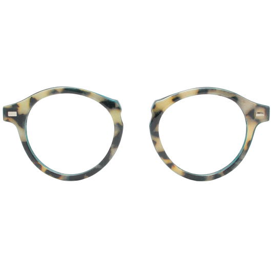 Round tortoiseshell glasses on a white background